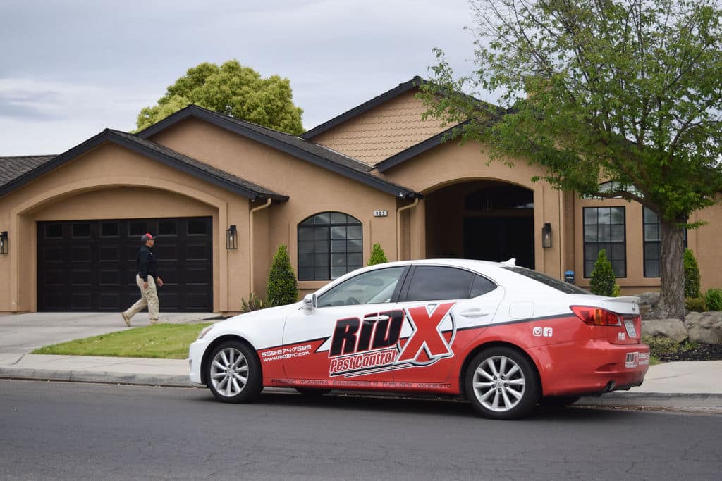 RidX Pest Control